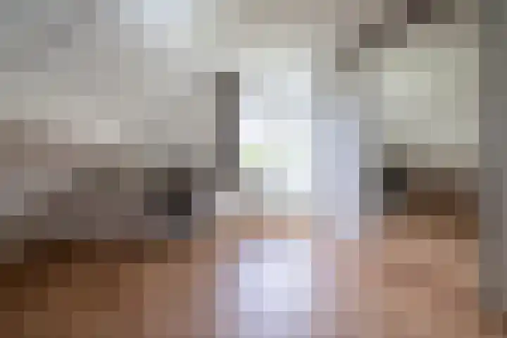 Zwarthalszwaan 7 Wildervank thumbnail 25
