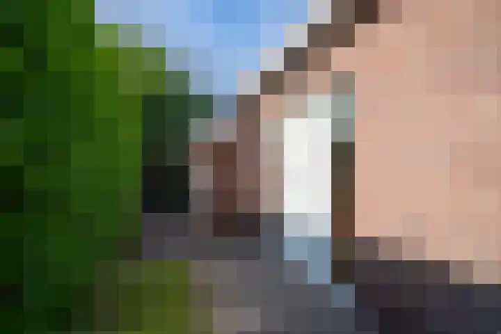 Zwarthalszwaan 7 Wildervank thumbnail 30
