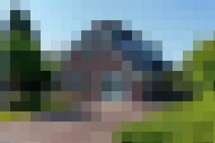 Zwarthalszwaan 7 Wildervank thumbnail 31