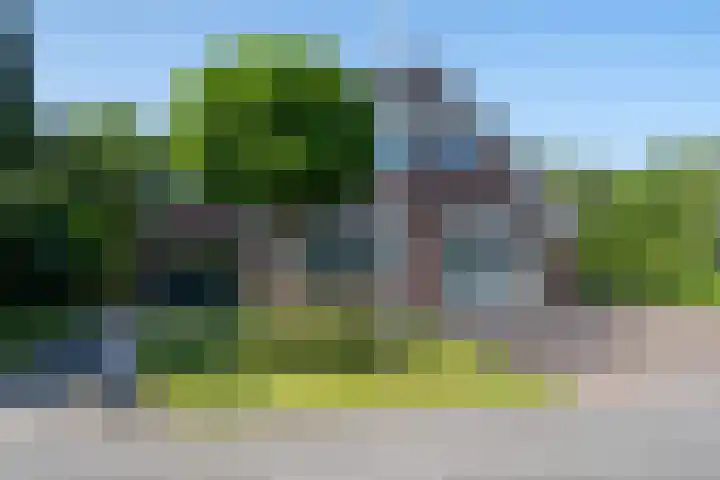 Zwarthalszwaan 7 Wildervank thumbnail 32