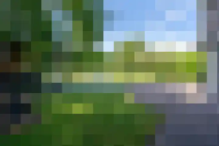 Zwarthalszwaan 7 Wildervank thumbnail 33
