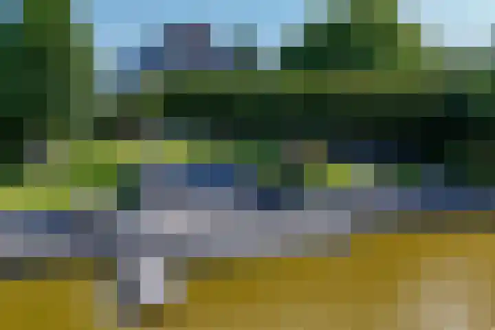 Zwarthalszwaan 7 Wildervank thumbnail 35