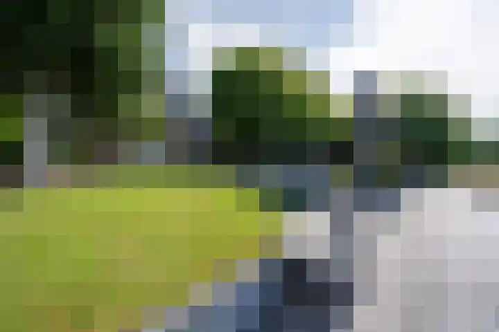 Zwarthalszwaan 7 Wildervank thumbnail 37