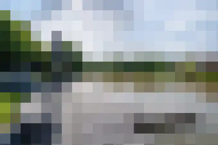 Zwarthalszwaan 7 Wildervank thumbnail 38