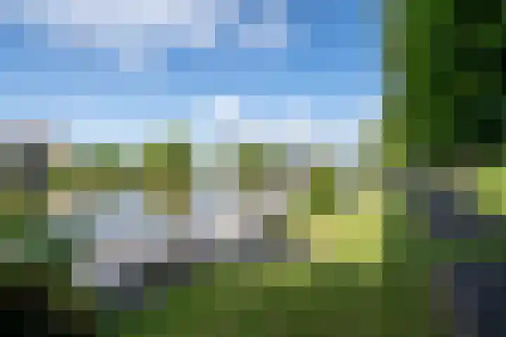 Zwarthalszwaan 7 Wildervank thumbnail 39