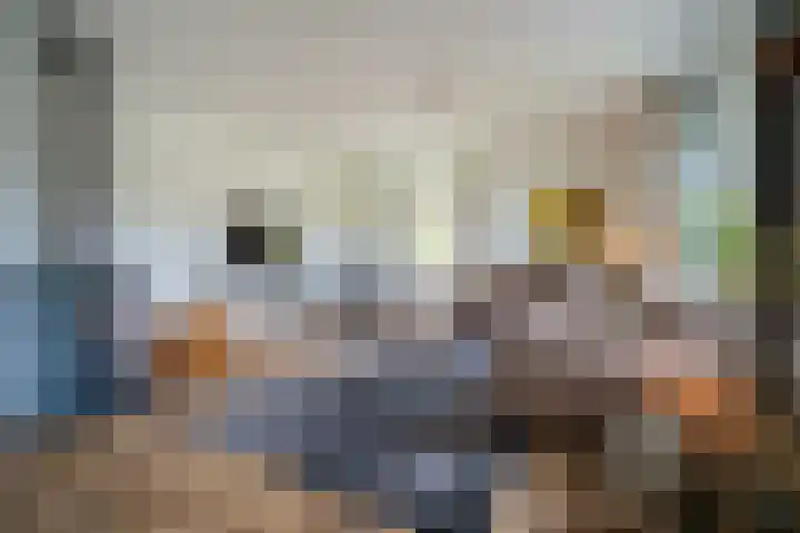 Zwarthalszwaan 7 Wildervank thumbnail 4
