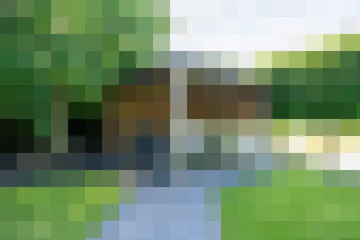 Zwarthalszwaan 7 Wildervank thumbnail 40
