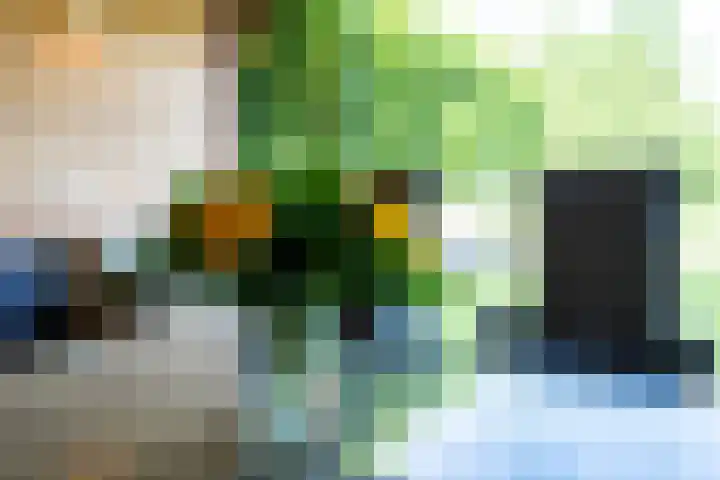 Zwarthalszwaan 7 Wildervank thumbnail 42