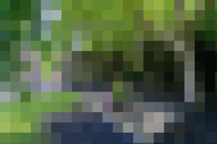 Zwarthalszwaan 7 Wildervank thumbnail 43