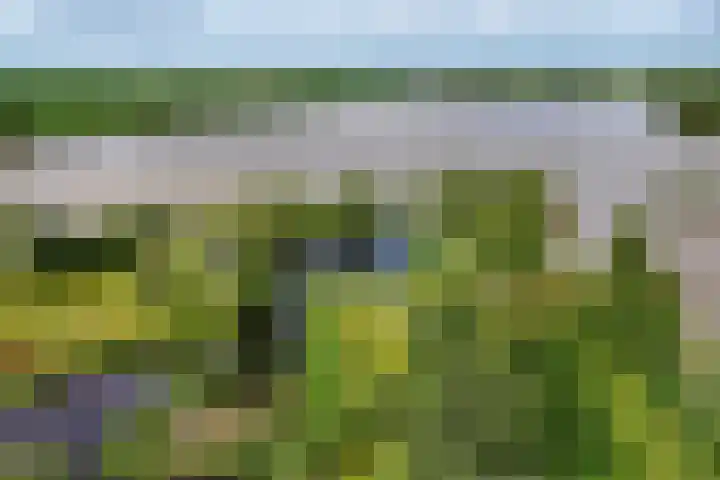 Zwarthalszwaan 7 Wildervank thumbnail 46