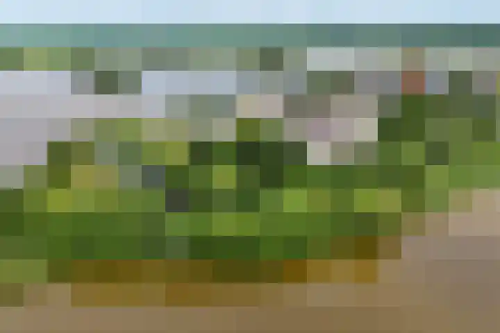 Zwarthalszwaan 7 Wildervank thumbnail 47
