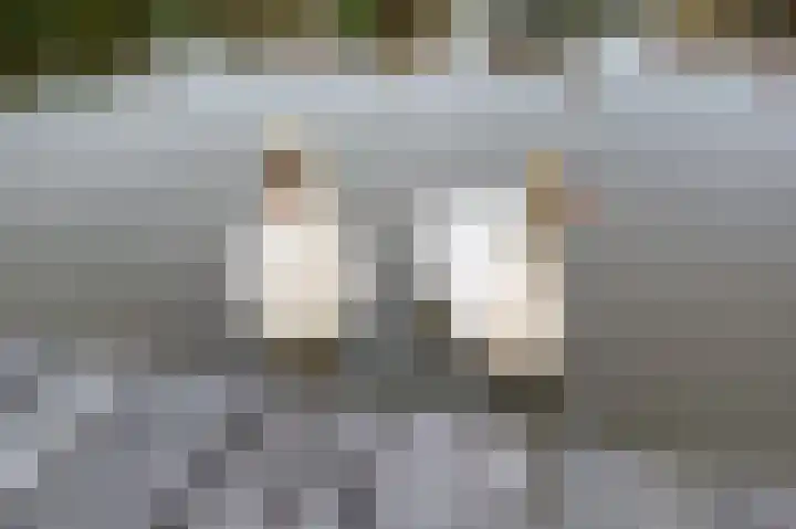 Zwarthalszwaan 7 Wildervank thumbnail 49
