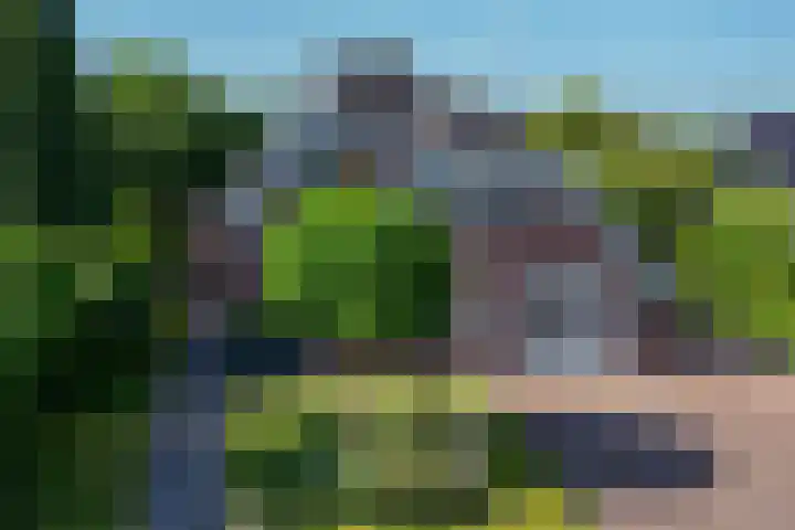 Zwarthalszwaan 7 Wildervank thumbnail 51