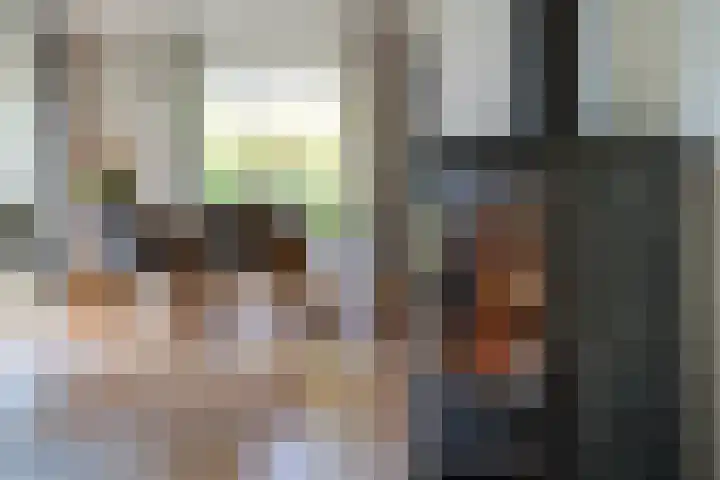 Zwarthalszwaan 7 Wildervank thumbnail 9