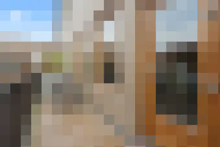 Zwartkopplein 4 Nieuwegein thumbnail 11