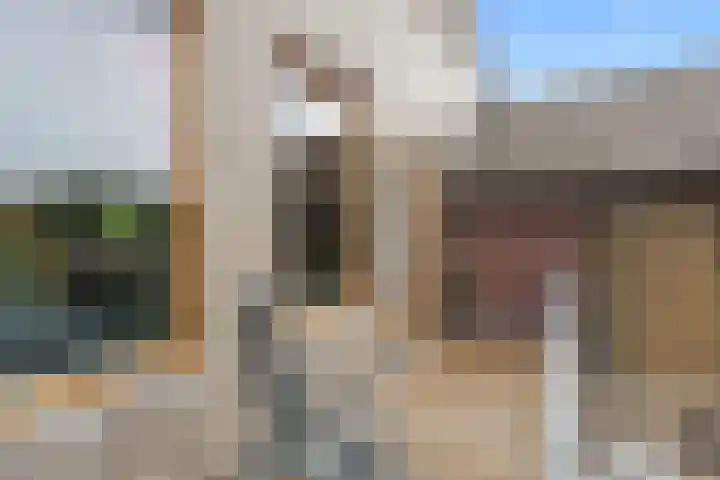 Zwartkopplein 4 Nieuwegein thumbnail 12