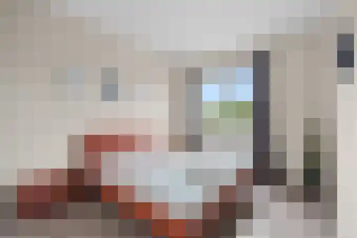 Zwartkopplein 4 Nieuwegein thumbnail 13