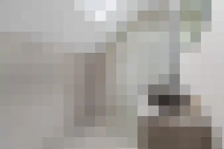 Zwartkopplein 4 Nieuwegein thumbnail 15