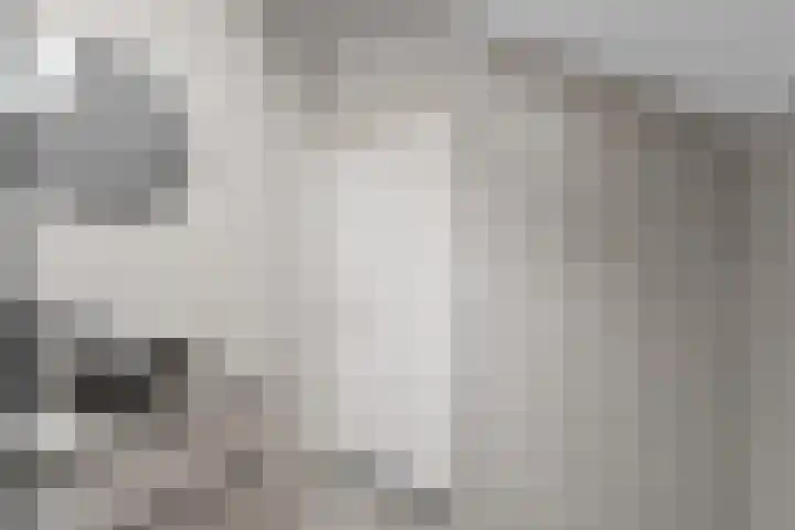 Zwartkopplein 4 Nieuwegein thumbnail 17