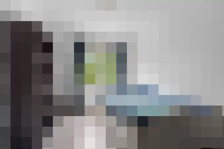 Zwartkopplein 4 Nieuwegein thumbnail 19