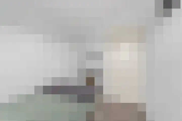 Zwartkopplein 4 Nieuwegein thumbnail 21