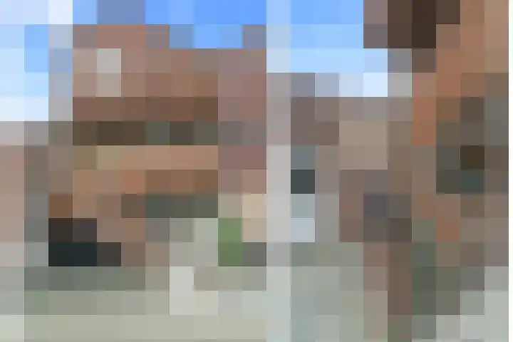 Zwartkopplein 4 Nieuwegein thumbnail 24