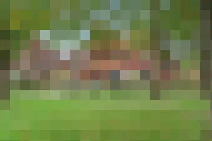 Zwartkopplein 4 Nieuwegein thumbnail 25