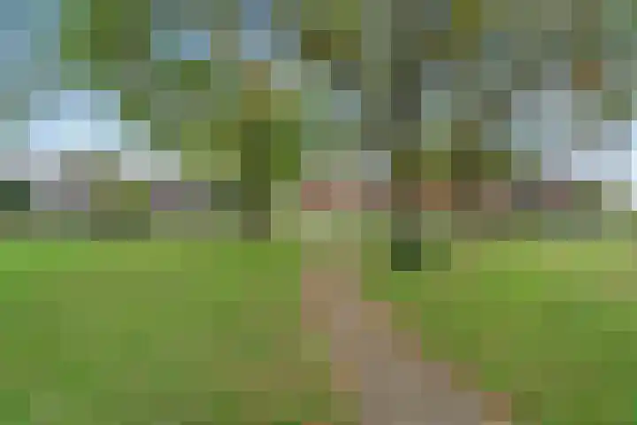 Zwartkopplein 4 Nieuwegein thumbnail 27