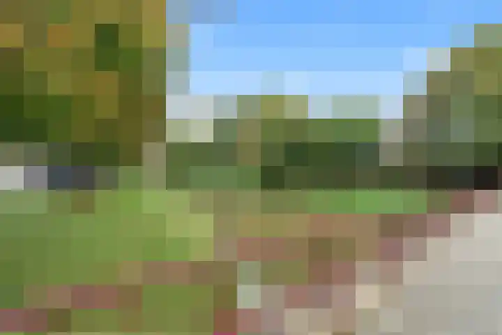 Zwartkopplein 4 Nieuwegein thumbnail 28