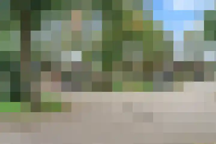 Zwartkopplein 4 Nieuwegein thumbnail 29
