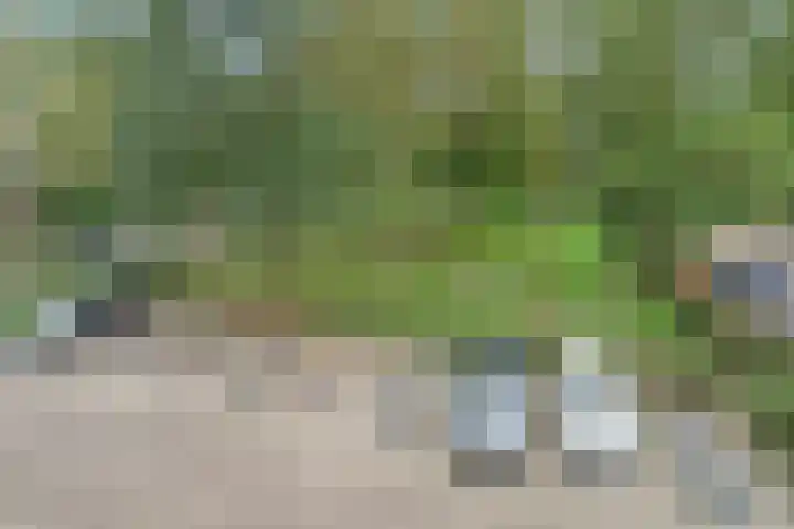Zwartkopplein 4 Nieuwegein thumbnail 30