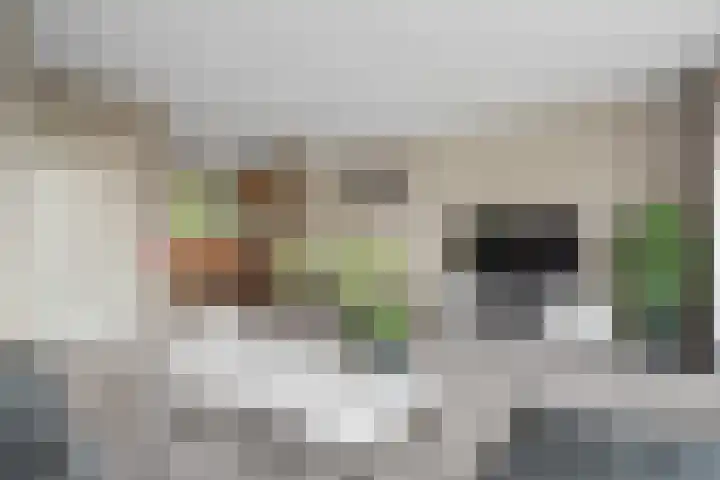 Zwartkopplein 4 Nieuwegein thumbnail 7