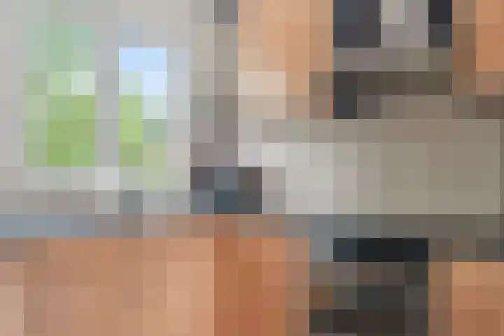 Zwartkopplein 4 Nieuwegein thumbnail 9
