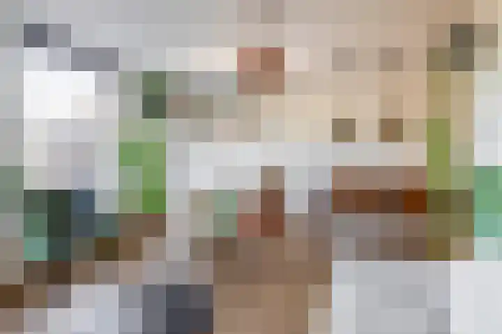 Zwartkopplein 8 Nieuwegein thumbnail 14