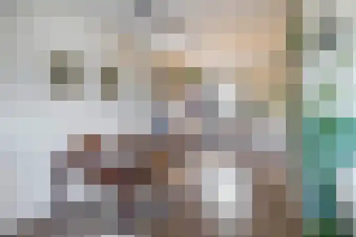 Zwartkopplein 8 Nieuwegein thumbnail 15