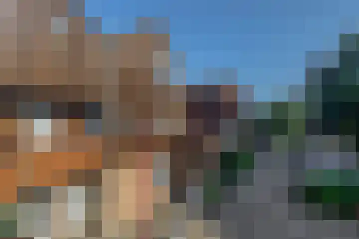 Zwartkopplein 8 Nieuwegein thumbnail 30