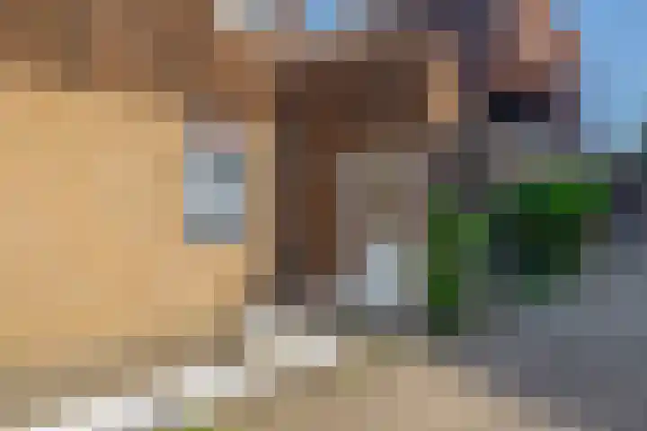 Zwartkopplein 8 Nieuwegein thumbnail 31