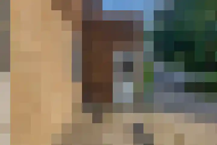 Zwartkopplein 8 Nieuwegein thumbnail 32