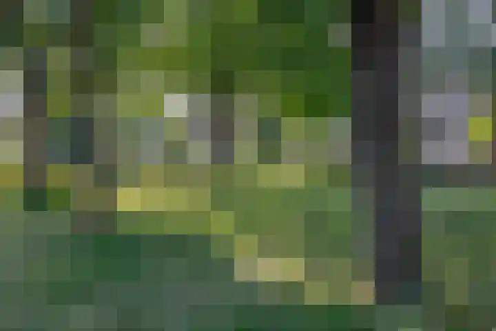 Zwartkopplein 8 Nieuwegein thumbnail 33