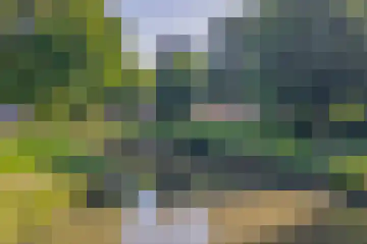 Zwartkopplein 8 Nieuwegein thumbnail 34