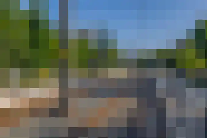 Zwartkopplein 8 Nieuwegein thumbnail 35