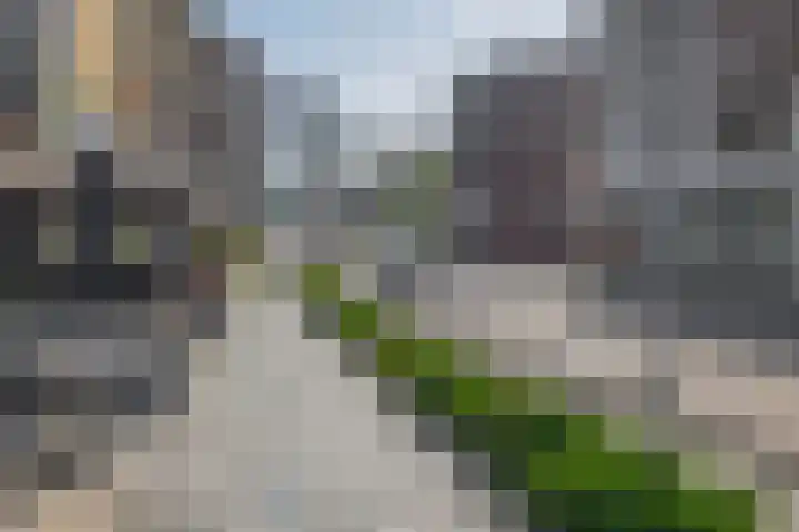 Zwartkopplein 8 Nieuwegein thumbnail 38