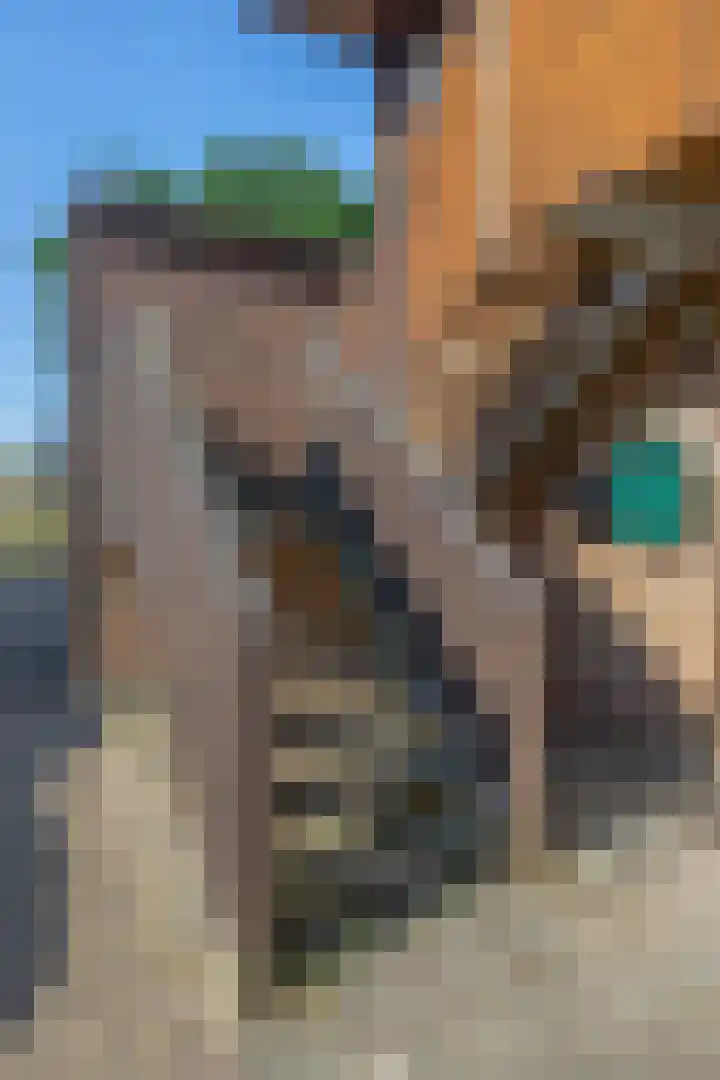Zwartkopplein 8 Nieuwegein thumbnail 5