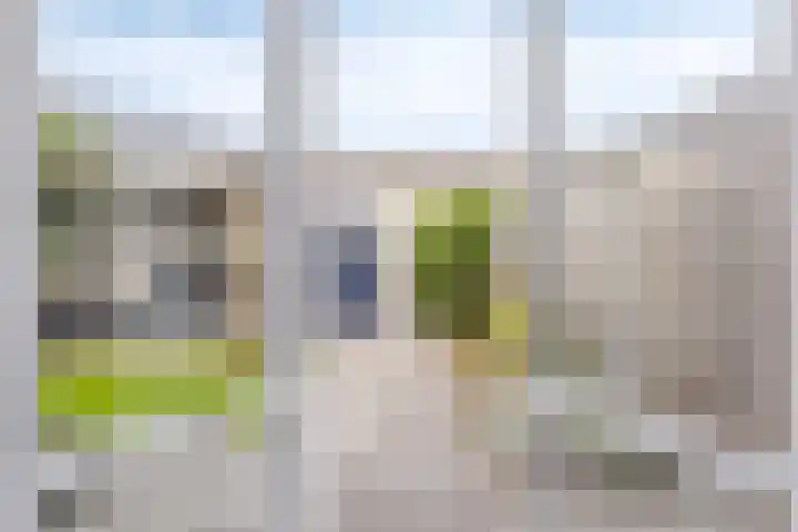 Zwartkopstraat 3 Helmond thumbnail 13
