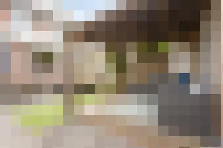 Zwartkopstraat 3 Helmond thumbnail 27