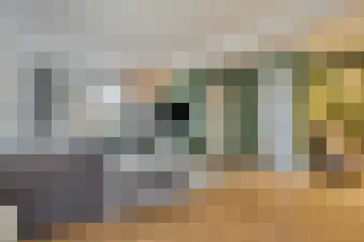 Zwartkopstraat 3 Helmond thumbnail 7