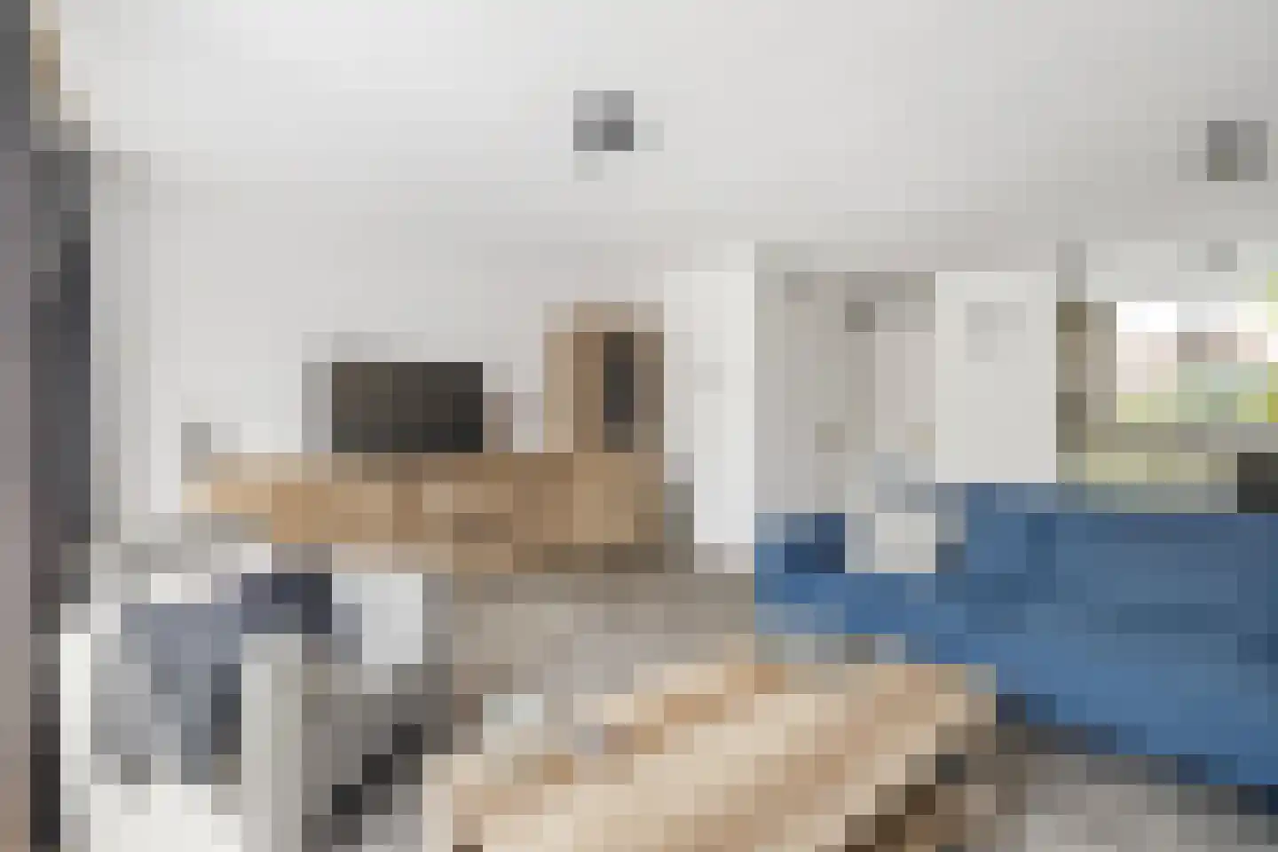 Zwartmoeren 19 Breda thumbnail 15
