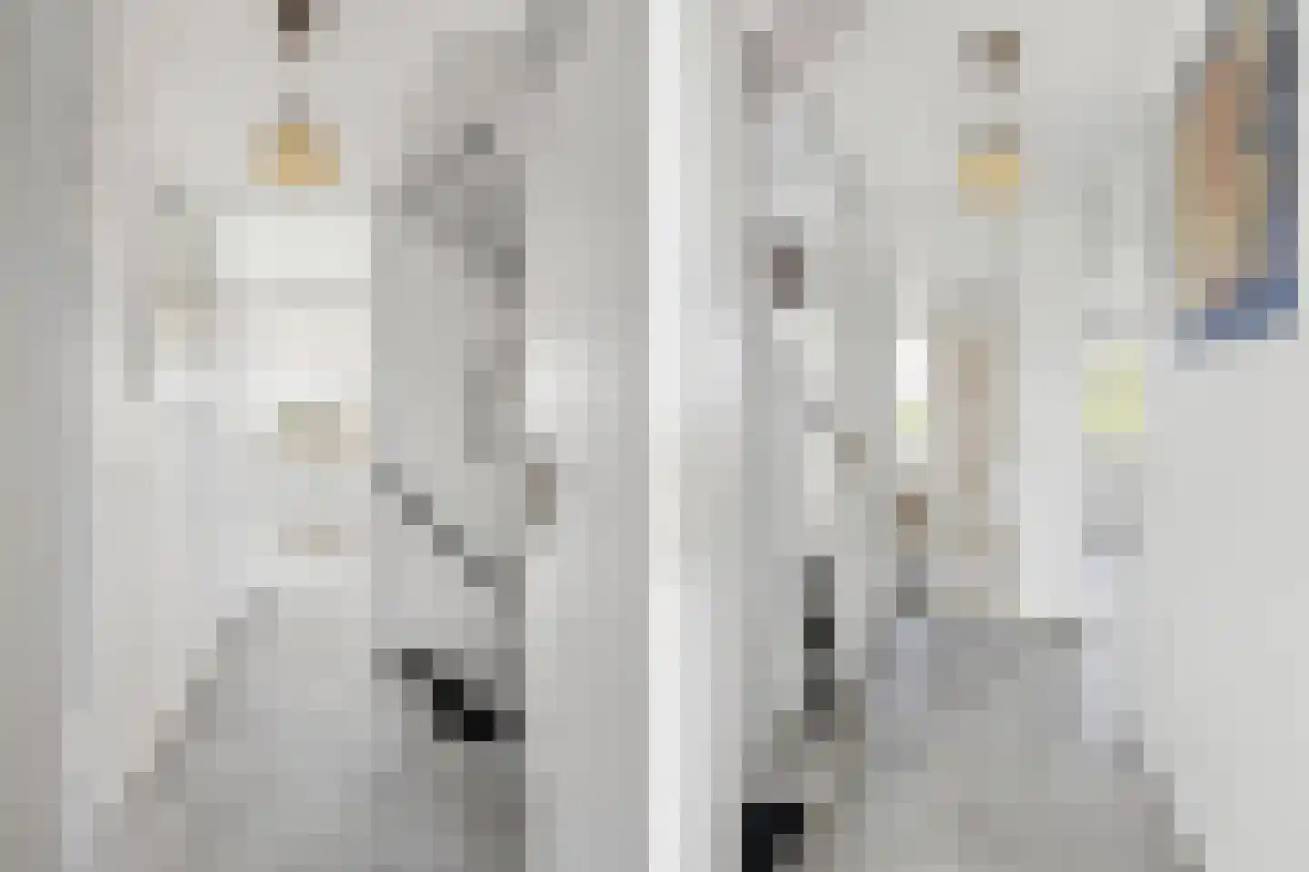 Zwartmoeren 19 Breda thumbnail 20
