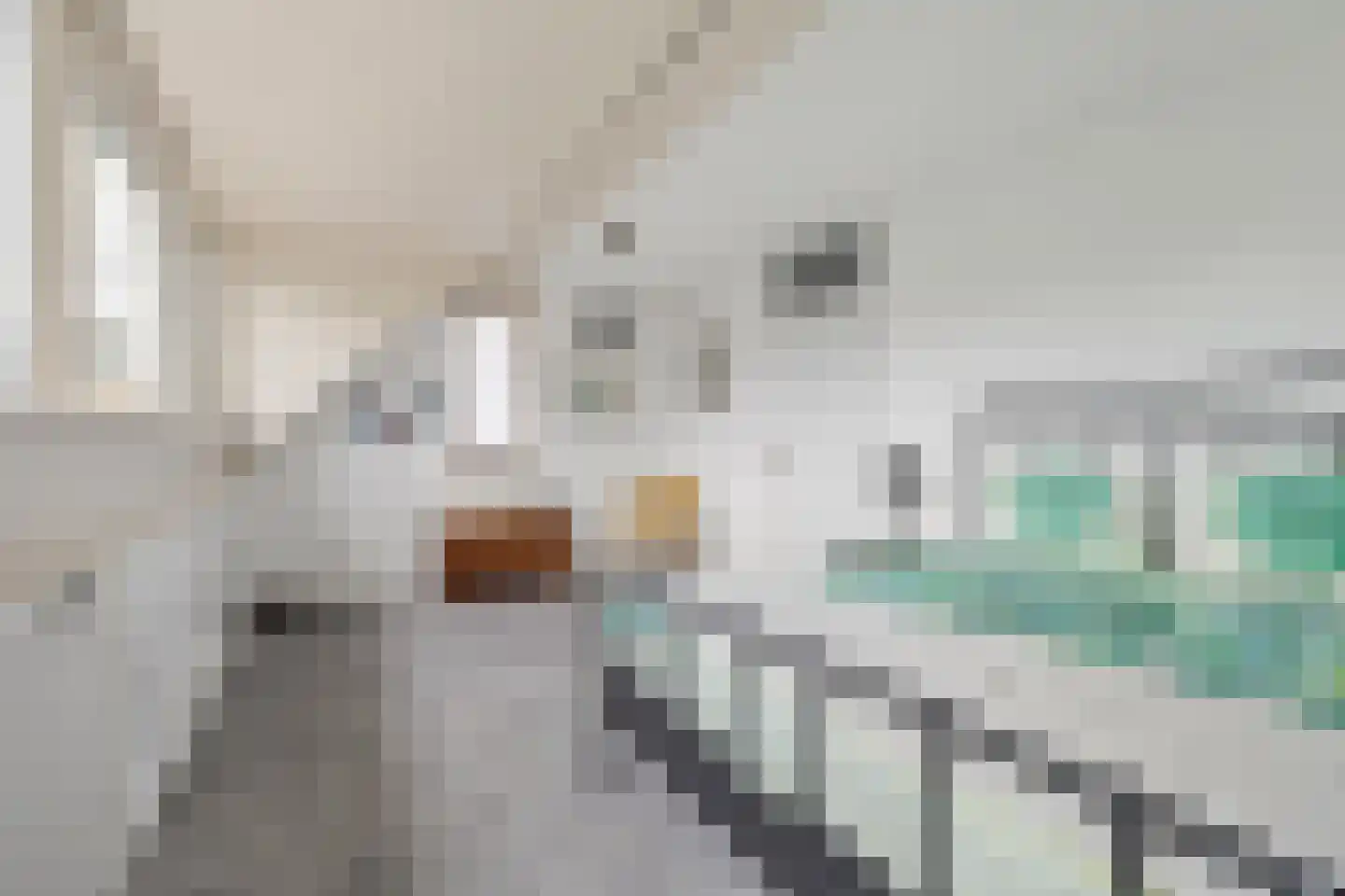 Zwartmoeren 19 Breda thumbnail 23