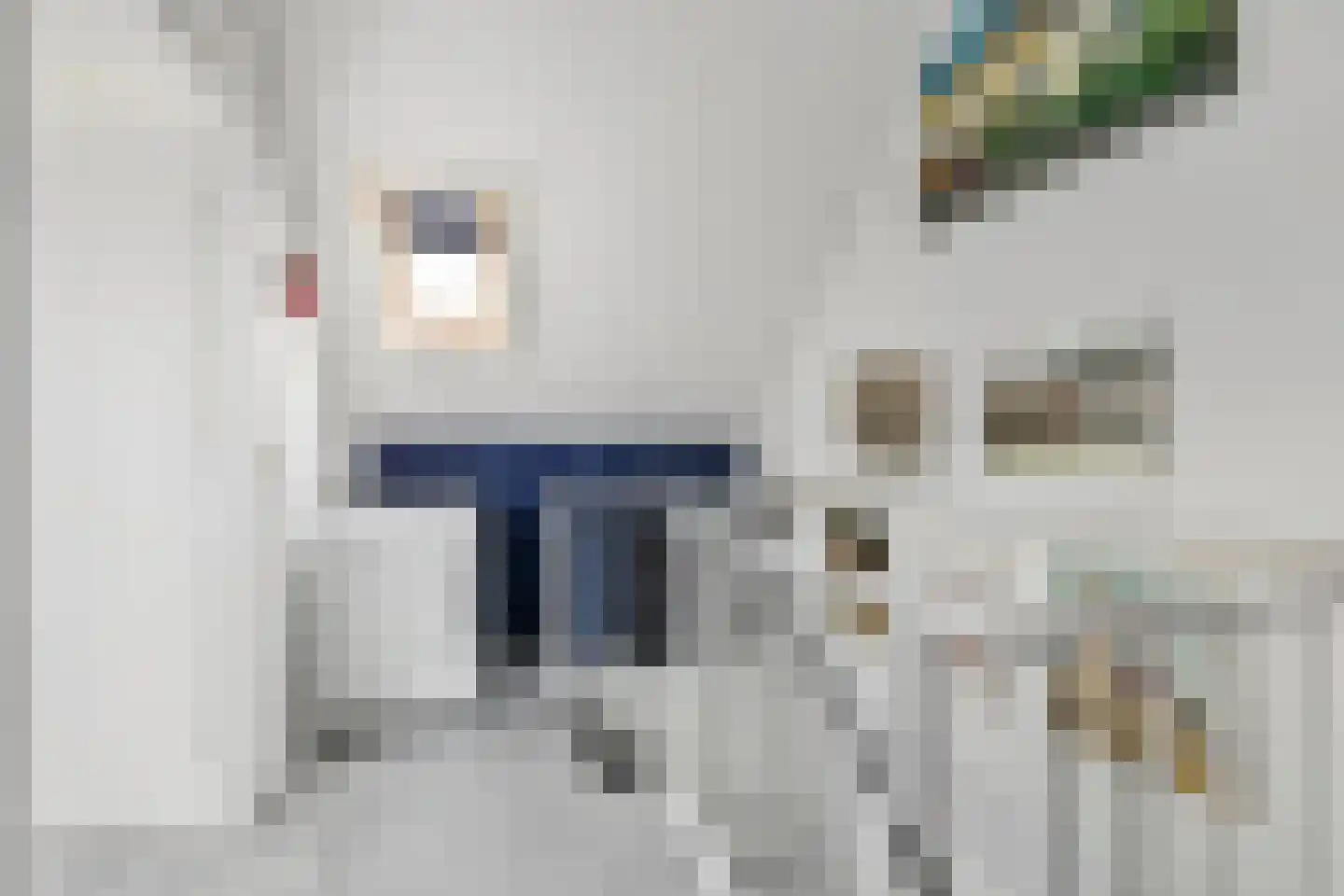 Zwartmoeren 19 Breda thumbnail 28